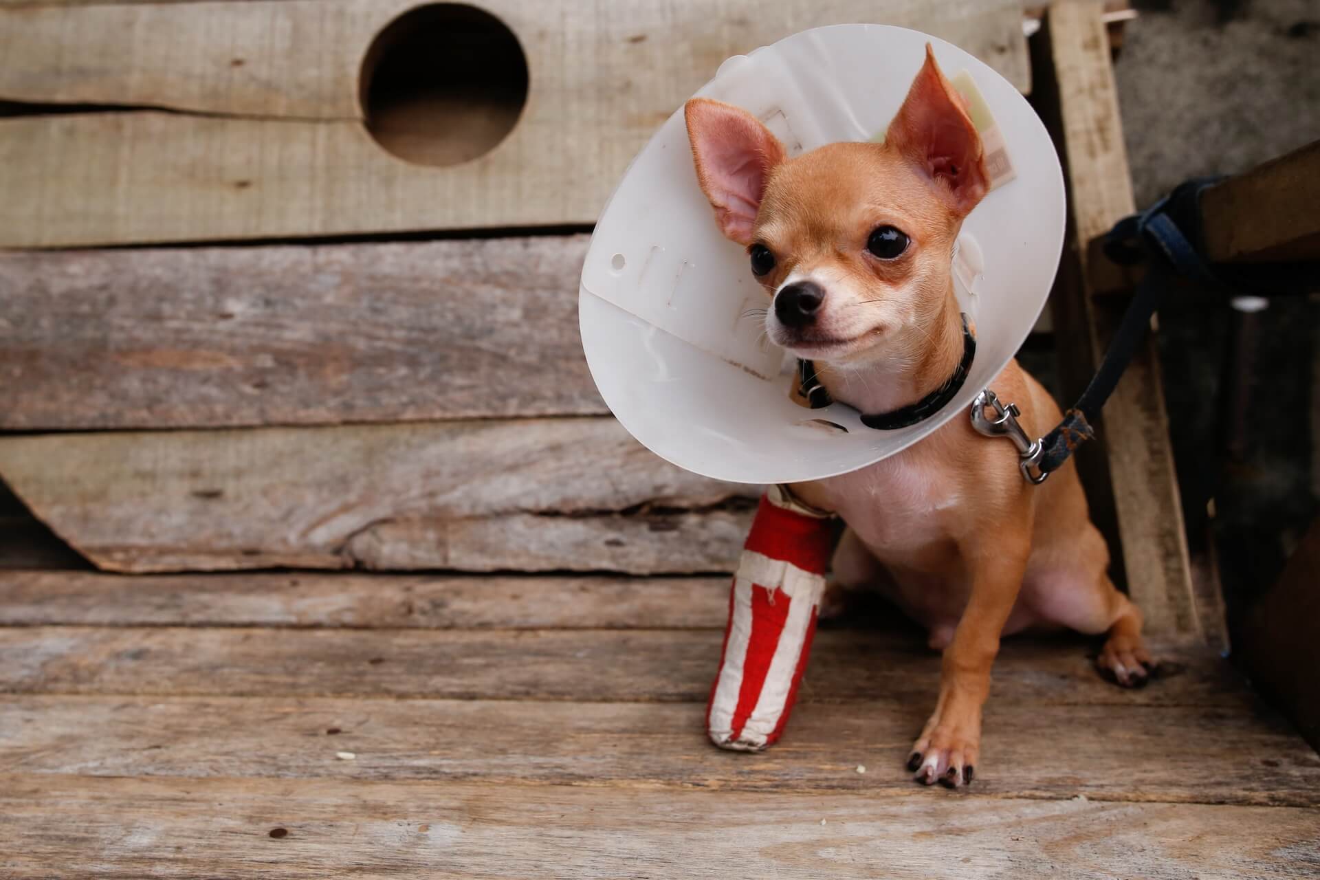 shutterstock_395128597