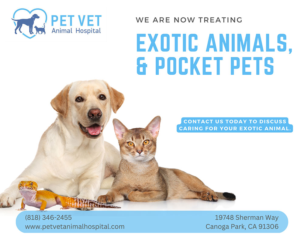 Veterinarian in Canoga Park, CA | Pet Vet Animal Hospital